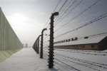 Israeli wall/Auschwitz fence