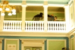 One of the accused and a policeman on the parliament balcony