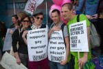 Cameron supports gay marriage ban