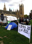 B2. A Democracy Village juxtaposed to the House of Conmens