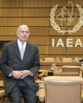 International Atomic Energy Agency’s former Director General, Mohammed ElBaradei