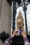 Purple ribbon for Parliament