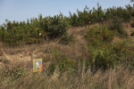 minefields in greece