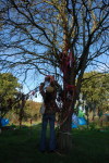 The Wrekin Clootie or Wytch Tree