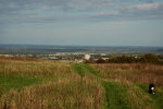 View of Wellington, Telford, from Site B (the north)