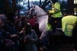 horse charge, lucky no one was injured.