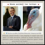 Obama pardons two turkeys .....
