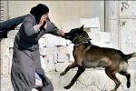 Israeli Army's dog attacking a Palestinian woman