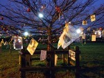 One of the most decorated trees, near Elizabeth Way.