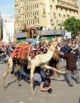 Pro-Mubarak thug on camel attacks crowd