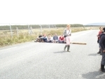 Campaigners forming line across road