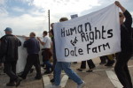 Human rights for Dale Farm
