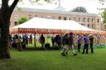 The marquee is put up just in time [photo: Holly Cooper]