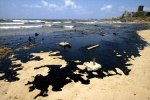 One of many beaches affected by oil