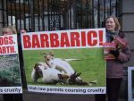 Protester against hare coursing outside Dail