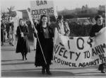 A long campaign...protesters outside Waterford coursing event (1987)