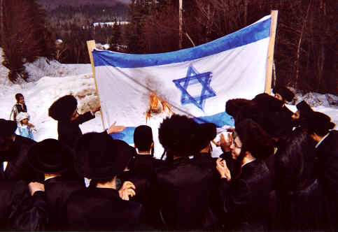 Orthodox Jews burn Israeli flag