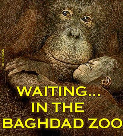 IN THE BAGHDAD ZOO
