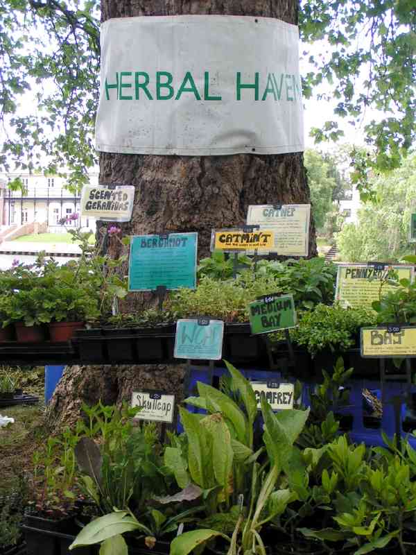 Shops - Herbal Haven A