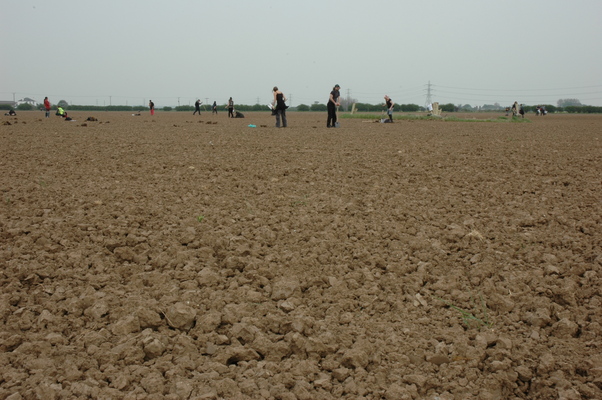 In a surprise move, demonstrators start planting non-GM potatoes