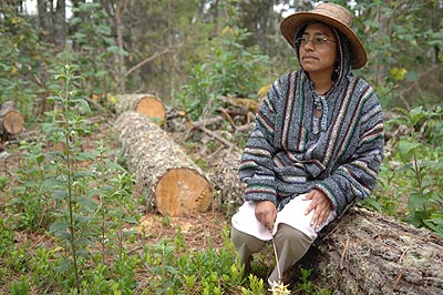 Dolores from CIPO-RFM inspects the damage to the forest.