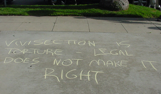Chalking is legal on public streets!