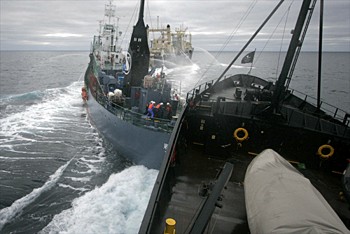 Yushin Maru 2 rammed by Sea Shepherd (Photo: Sea Shepherd)