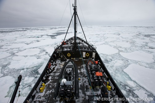 The ship is completely enclosed by ice as it tries to navigate to open waters