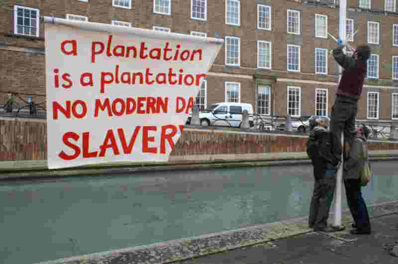 Plantation=Modern Day Slavery