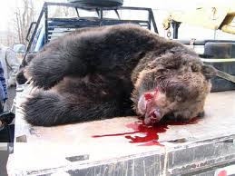 Romney Ryan Want Hunting In US National Parks