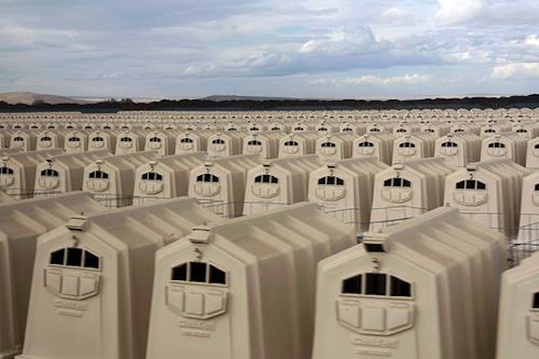 A US concentration camp for calves in Oregon