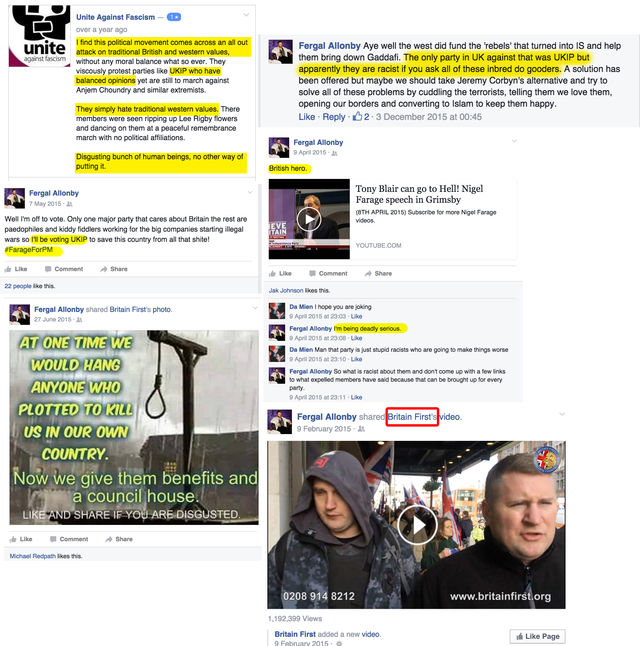 Anthony Hansen's posts in support of far-right idealogy, UKIP and Britain First